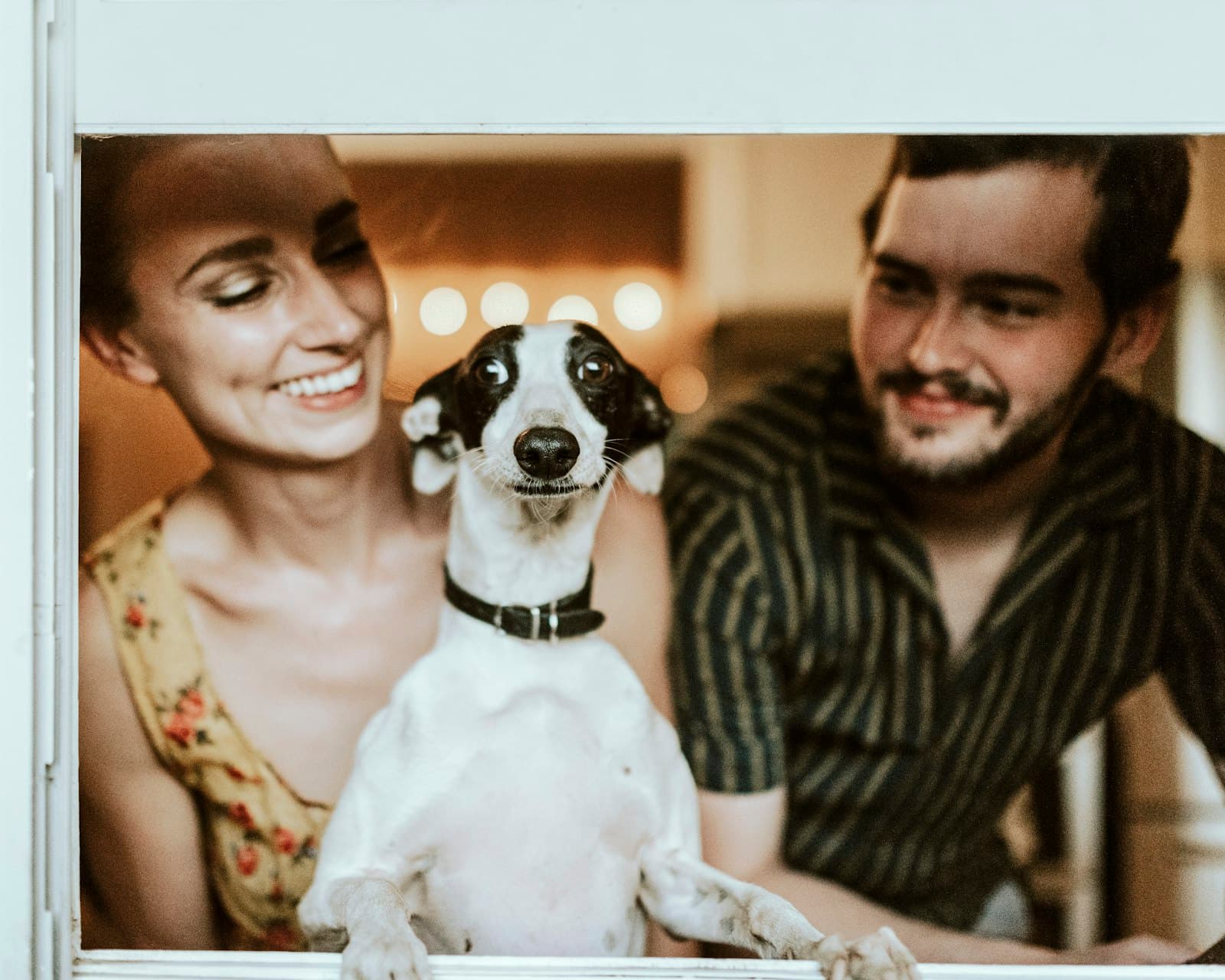 Casal de tutores sorri com seu cão entre eles, em casa